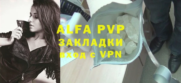 PSILOCYBIN Богданович