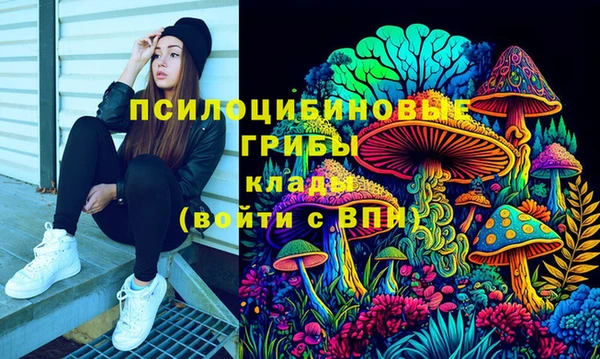 PSILOCYBIN Богданович